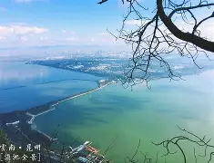 开云官网入口 -关于滇池战狼队对阵川蜀朱雀队，跆拳道小组赛火力全开，门将神扑救主——战术板得到兑现的信息